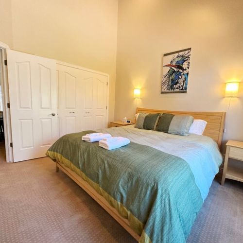 The master bedroom has a king bed, a large closet, tall ceilings, and tremendous natural light.