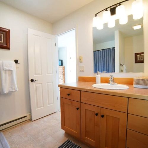 Bedroom #2's en suite bath has a vanity and a step-in shower.