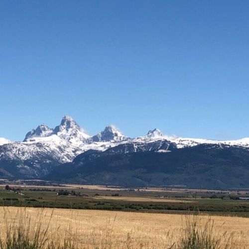 The unobstructed views of the Tetons from this unit are postcard-worthy.