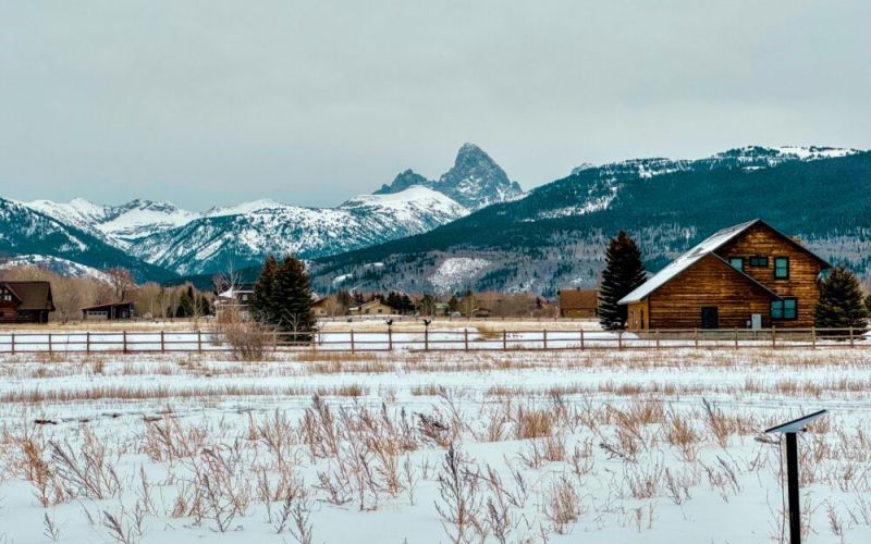 77d836bf 72b8 424e bde3 241e18c9ffc0 297e174a