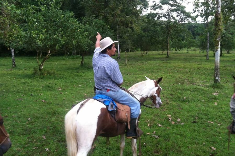 Horseback riding 6934a556