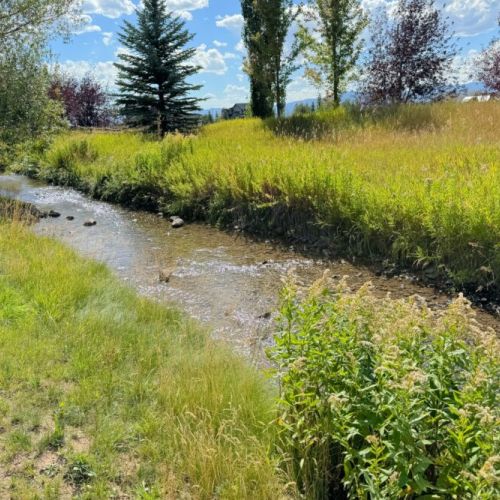 An irrigation canal runs behind the home, often attracting wildlife such as deer or moose.
