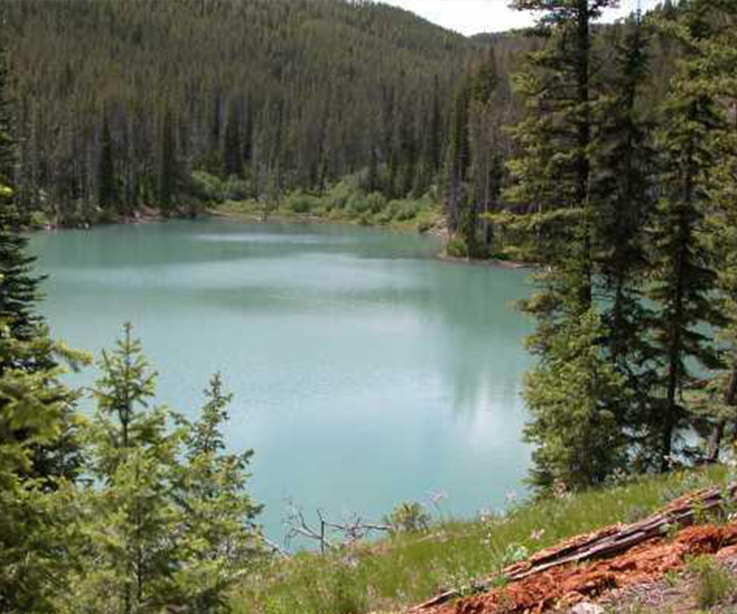 View of Packsaddle Lake