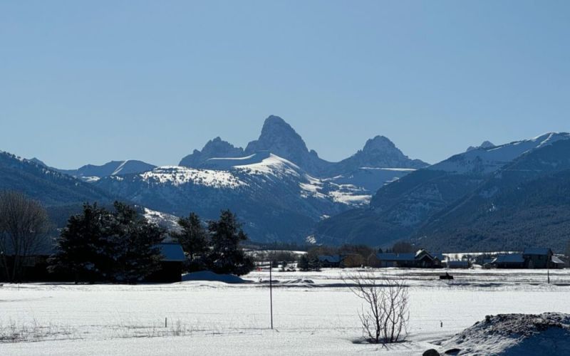 be596962 46ed 41d0 b8fc 93af3c2d28b3 77717bca