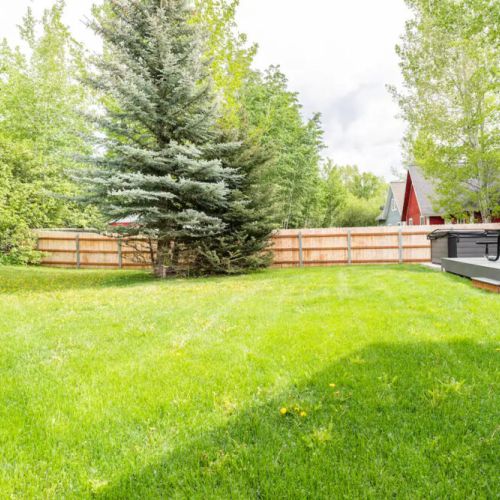This large yard is perfect for playtime (for kids or four-legged friends)!