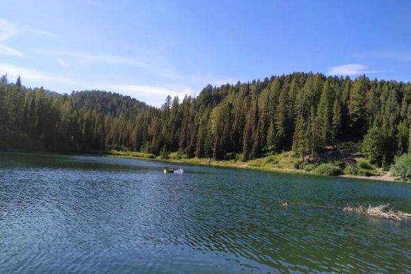 Packsaddle Lake Trail Head