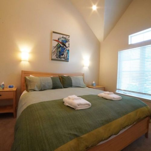 The master bedroom has a king bed, a large closet, tall ceilings, and tremendous natural light.
