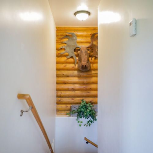 Take the stairs to the basement, passing beneath this wonderful moose sculpture.
