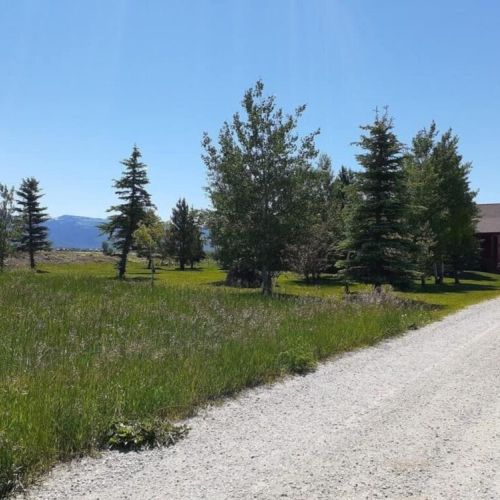 The home is set back from the road down a driveway, meaning privacy for the family.