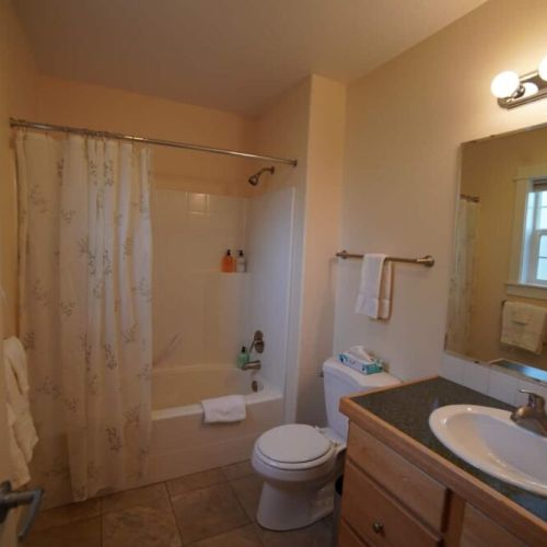 Master bath with combo shower and tub.