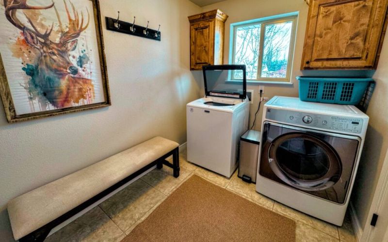 8b71631b d2b9 4e81 b867 29188a28cbed 1 dd5ea944