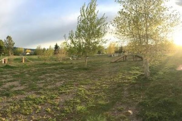 Dog Park at Sherman Park