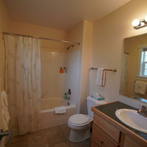 Master bath with combo shower and tub.