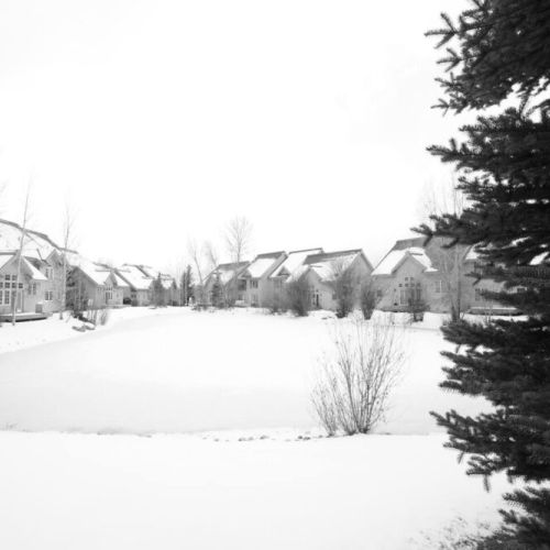 Enjoy a gorgeous view behind the townhome — the pond looks great in all seasons!