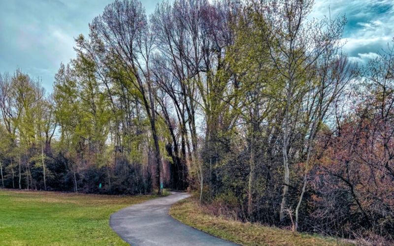 90b38afc 23a5 4546 b665 6010ee224208 f983b5ae