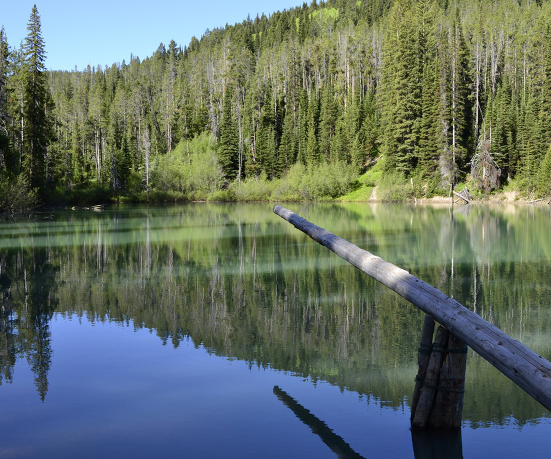 Discover The Magic Of Packsaddle Lake Your Ideal Summer Adventure